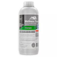 Реагент на нейтральной основе WellnessTherm PREVENT 1л