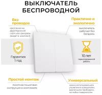 Выключатель беспроводной FERON, TM82 SMART, 230V, 500W, двухклавишный, белый, 41129