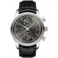 Наручные часы IWC IW390404