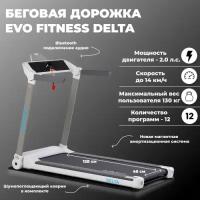 Беговая дорожка электрическая EVO FITNESS Delta New