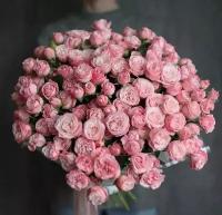 Букет розовые пионовидные кустовые розы 51 шт, красивый букет цветов, шикарный, премиум цветы, роза