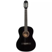 Классическая гитара TERRIS TC-390A BK