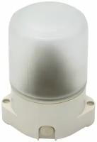 Потолочный светильник ЭРА Лидер НББ 01-60-001 Б0048030