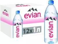 Вода минеральная природная столовая питьевая Evian негазированная, ПЭТ, без вкуса, 12 шт. по 1 л