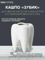 Кашпо Зуб мудрости, горшок ваза для цветов суккулетов