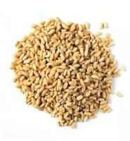 Пшеница 5 кг