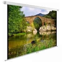 Рулонный матовый белый экран cactus WallExpert CS-PSWE-220x165-WT, 109