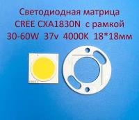 Светодиодная матрица Cree CXA1830N 30-60W 37v 800-1600mA Белая нейтральная 4000K 18*18мм с рамкой