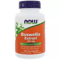 NOW Boswellia Extract 250мг 120 капсул Нау экстракт Босвеллии нау