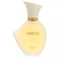 Parfums Evaflor Женский Amati Парфюмированная вода (edp) 100мл