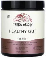 Порошок Terra Origin Healthy Gut, 243 г