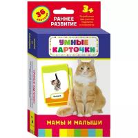 Мамы и малыши (Развивающие карточки 3+)