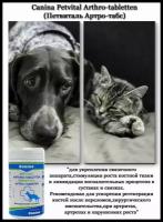 Добавка в корм Canina Petvital Arthro-tabletten (60г/60таб)