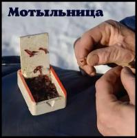 Мотыльница 