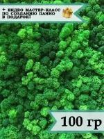 Стабилизированный мох ягель 100 гр зеленый / лесной мох для декора, озеленения и дизайна / растение для поделок сделай сам из природных материалов