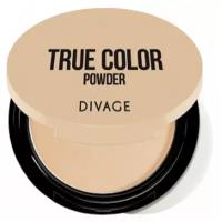 DIVAGE True Color пудра компактная