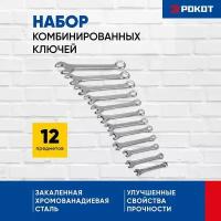 Рокот Набор из 12 комбинированных ключей (6,7,8,9,10,11,12,13,14,17,19,22 мм)