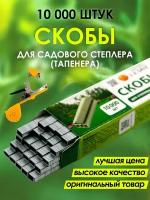 Скобы для тапенера (садового степлера) CELLTIX