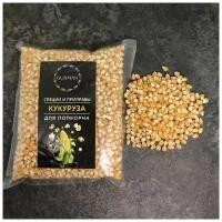 Кукуруза для попкорна (зерно кукурузы для попкорна), 1000 гр, GURMAN
