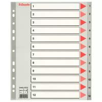 Esselte Разделитель пластиковый А4, 1-12