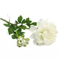 HY125-72047 Георгины (цветок и бутон), 60см (F Белый)