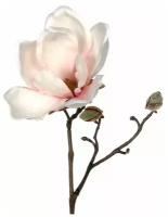 Цветок магнолии, нежно-розовый, 25 см, Edelman