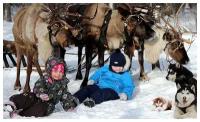 Семейный отдых с катанием на оленьих или собачьих упряжках+шашлык в будни (Московская область)