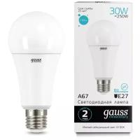 Лампа Gauss Elementary A67 30W 2360lm 4100K E27 LED