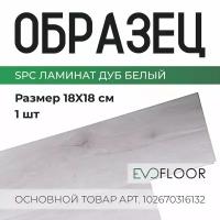 SPC ламинат Evofloor Home - Oak White (Дуб Белый) - образец