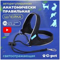 Анатомическая шлейка для собак маленьких мелких пород, кошки до 3 кг G-pet черная р-р XS (25-31 см) для щенков, котят, хорька, кролика