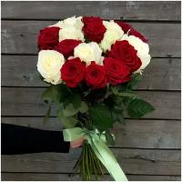 Розы Премиум 25 шт красно-белые высота 50 см арт.11096 - Просто роза ру