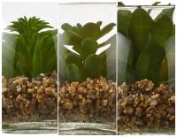 Элитное искусственное растение суккулент В вазочке, 10х12 см, Edelman