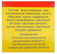 Бизорюк Мазь «Монастырская. Здоровые суставы», 25 мл