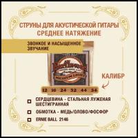 ERNIE BALL 2146 Earthwood Phosphor Bronze Medium Light 12-54 Струны для акустической гитары