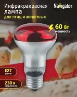 Инфракрасная лампа для обогрева птиц и животных NAVIGATOR 93 973, рефлектор R63, 60 Вт, Е27