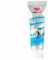 Паста уплотнительная PASTUM H2O, тюбик 25 г