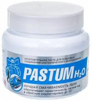 Pastum H2O, 400г банка Паста для уплотнения резьбовых соединений сантехнического оборудования