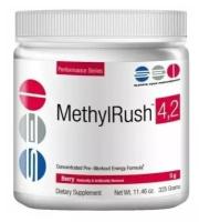 SEI Nutrition Methyl Rush 4.2 325гр. ягода