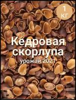 Скорлупа алтайского кедрового ореха, 1 кг, урожай 2021 года