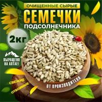 Семечки подсолнечника 