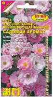 Роза многоцветковая вечноцветущая мини Садовый Аромат, 0,03 гр