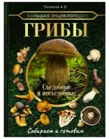 Большая энциклопедия. Грибы. Съедобные и несъедобные. Собираем и готовим