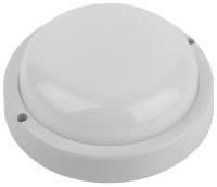 Настенно-потолочный светильник ЭРА SPB-201-0-65K-012, 12 Вт, кол-во ламп: 1 шт., кол-во светодиодов: 28 шт., 6500 К, цвет арматуры: белый, цвет плафона: белый