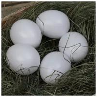 Яйцо искусственное подкладное, для кур, 1 шт, белое