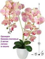 Композиция из цветов Орхидея бежево-лиловая 2 ветки 55 см в кашпо от ФитоПарк