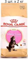 Сухой корм для котят Royal Canin Maine Coon Kitten, для котят породы мейн-кун, от 3 до 15 месяцев, 3 шт. х 2 кг