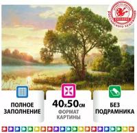 Картина стразами (алмазная мозаика) 40*50 см, остров сокровищ 