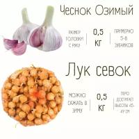 Набор Лук Севок 0.5 кг и Чеснок Озимый 0.5 кг
