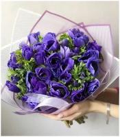 Букет Анемона фиолетовая 25 шт, красивый букет цветов, шикарный, премиум букет