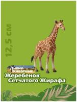 Фигурка животного Collecta, Жеребенок сетчатого жирафа